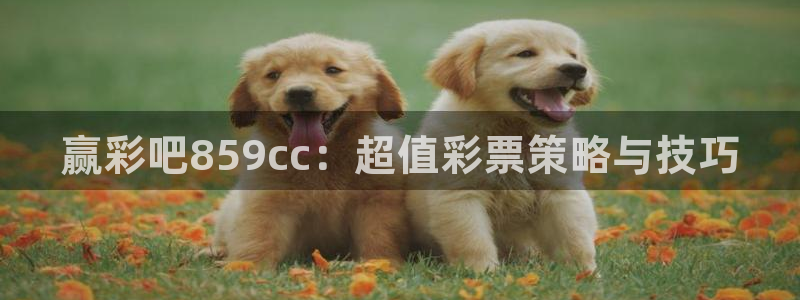 fun88·乐天堂