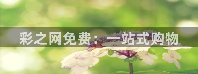 fun88环球网分析