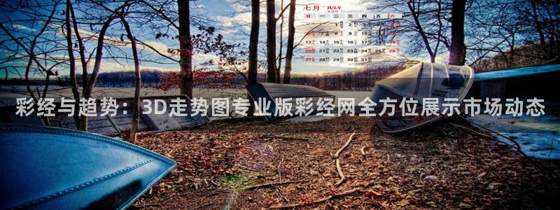fun88乐天堂：彩经与趋势：3D走势图专业版彩经网全方位展示市场动态