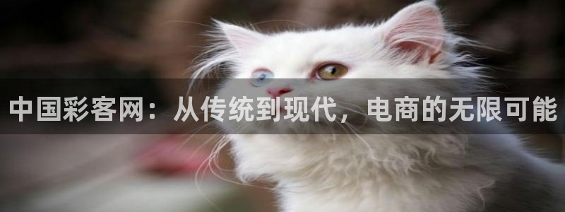 乐天天堂fun88：中国彩客网：从传统到现代，电商的无限可能