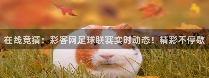 fun88乐天堂：在线竞猜：彩客网足球联赛实时动态！精彩不停歇
